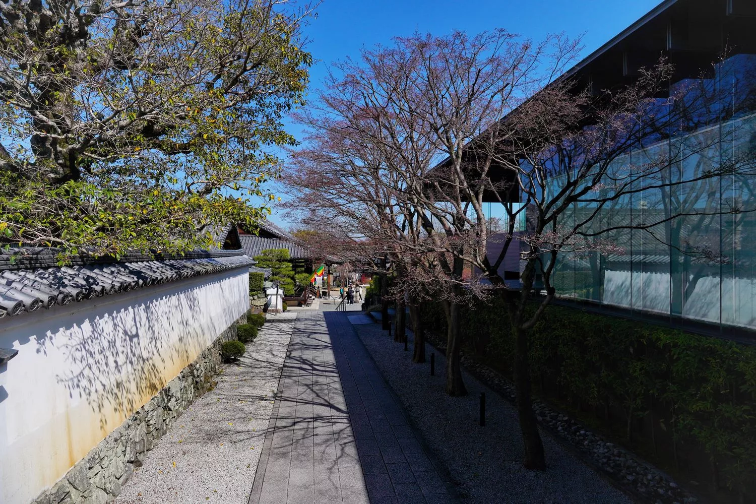 宇治平等院｜此生必訪京都世界遺產鳳凰堂交通/門票參觀重點! @混血珊莎的奇幻旅程