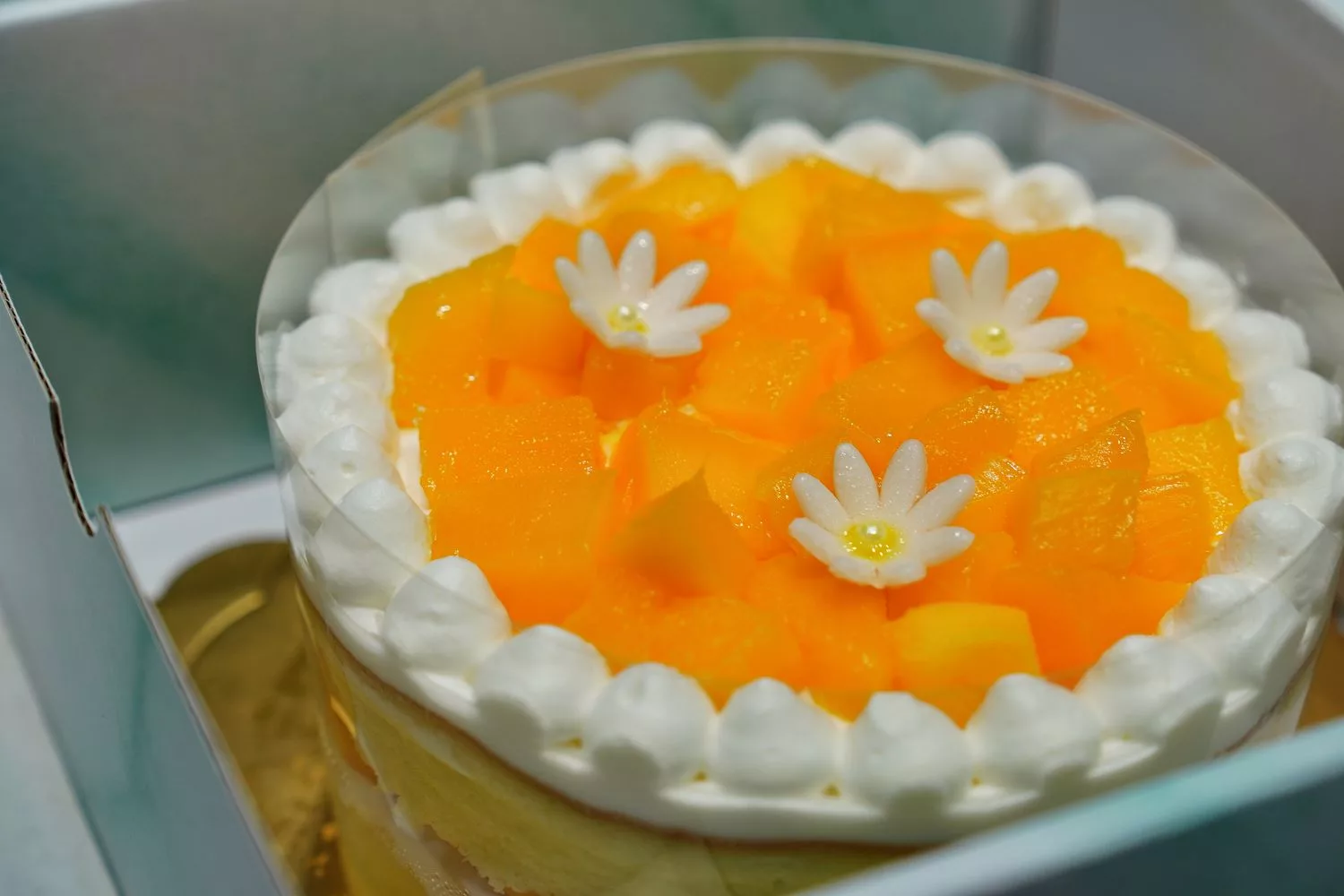 【台中蛋糕店】2度c niguo 豐原店,純手工製作多達18種口味,必點季節限定芒果千層! @混血珊莎的奇幻旅程 【台中蛋糕店】2度c niguo 豐原店,純手工製作多達18種口味,必點季節限定芒果千層! @混血珊莎的奇幻旅程