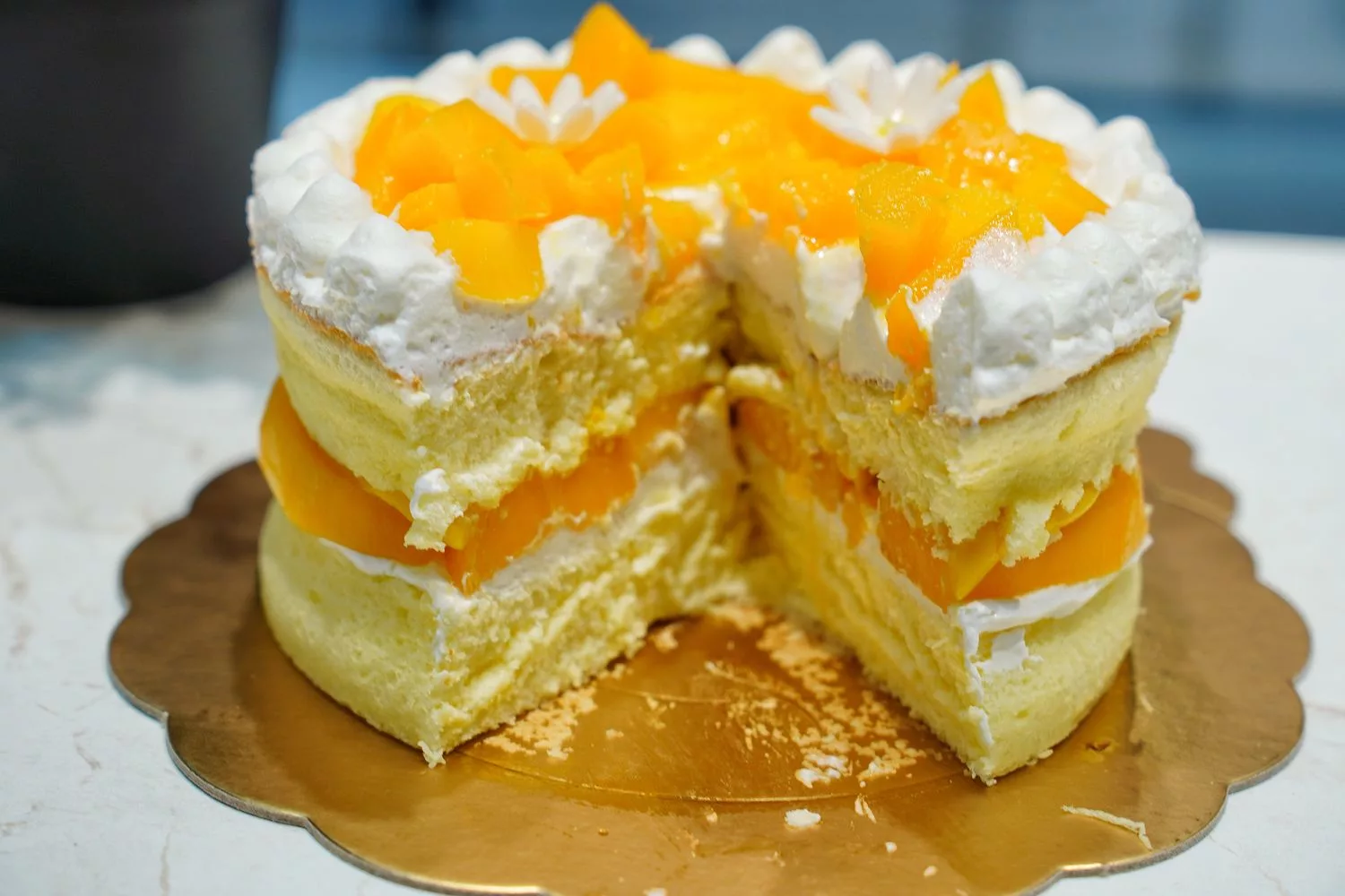 【台中蛋糕店】2度c niguo 豐原店,純手工製作多達18種口味,必點季節限定芒果千層! @混血珊莎的奇幻旅程 【台中蛋糕店】2度c niguo 豐原店,純手工製作多達18種口味,必點季節限定芒果千層! @混血珊莎的奇幻旅程