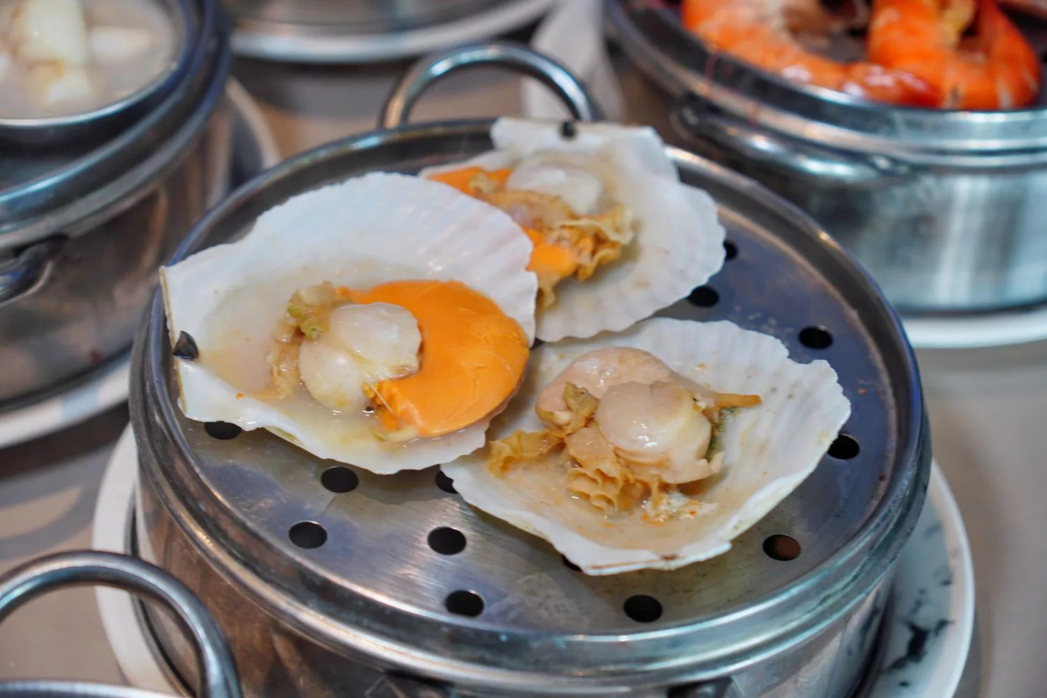 【台中海鮮塔推薦】8德司創意餐館逢甲店，超澎湃101海鮮塔，還有麻辣鍋、義大利麵跟調酒嗨翻全場! @混血珊莎的奇幻旅程