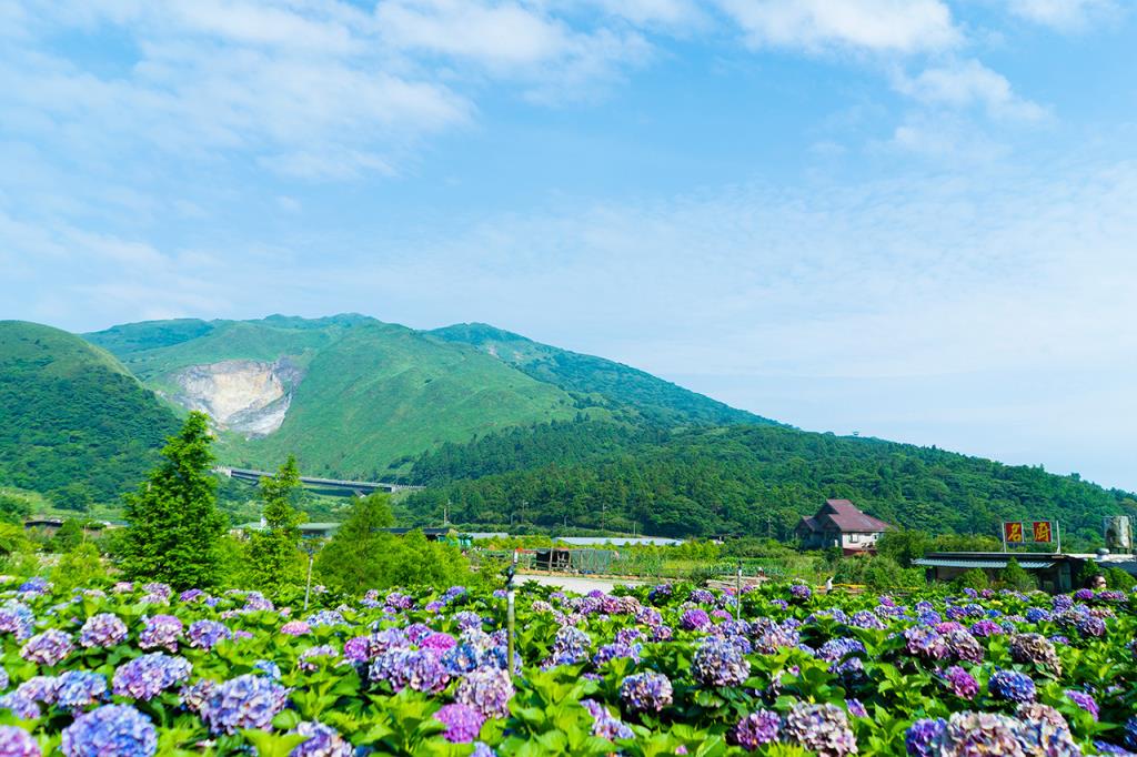【2025台北旅遊景點推薦】32個台北一日遊景點探索指南，交通住宿美食攻略! @混血珊莎的奇幻旅程