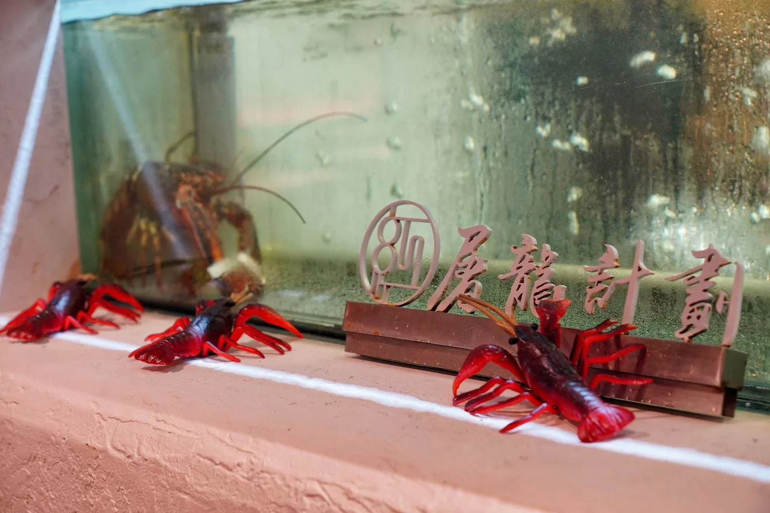 【汕頭火鍋】深紅汕頭鍋物SOGO敦化店，活體龍蝦現流海鮮霸氣上桌! @混血珊莎的奇幻旅程