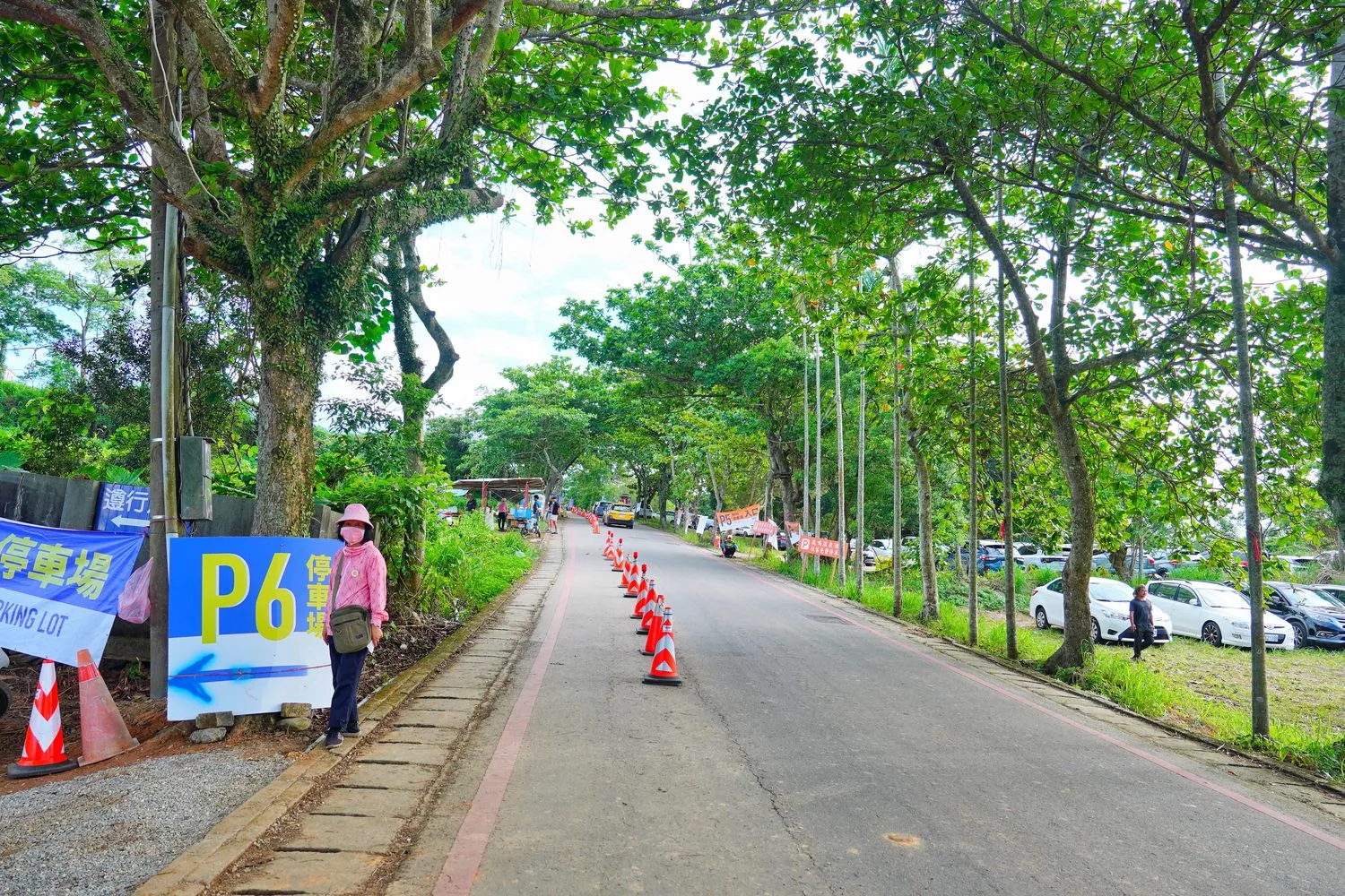 2025台東熱氣球節｜活動時間表、繫留體驗、停車資訊完整攻略! @混血珊莎的奇幻旅程