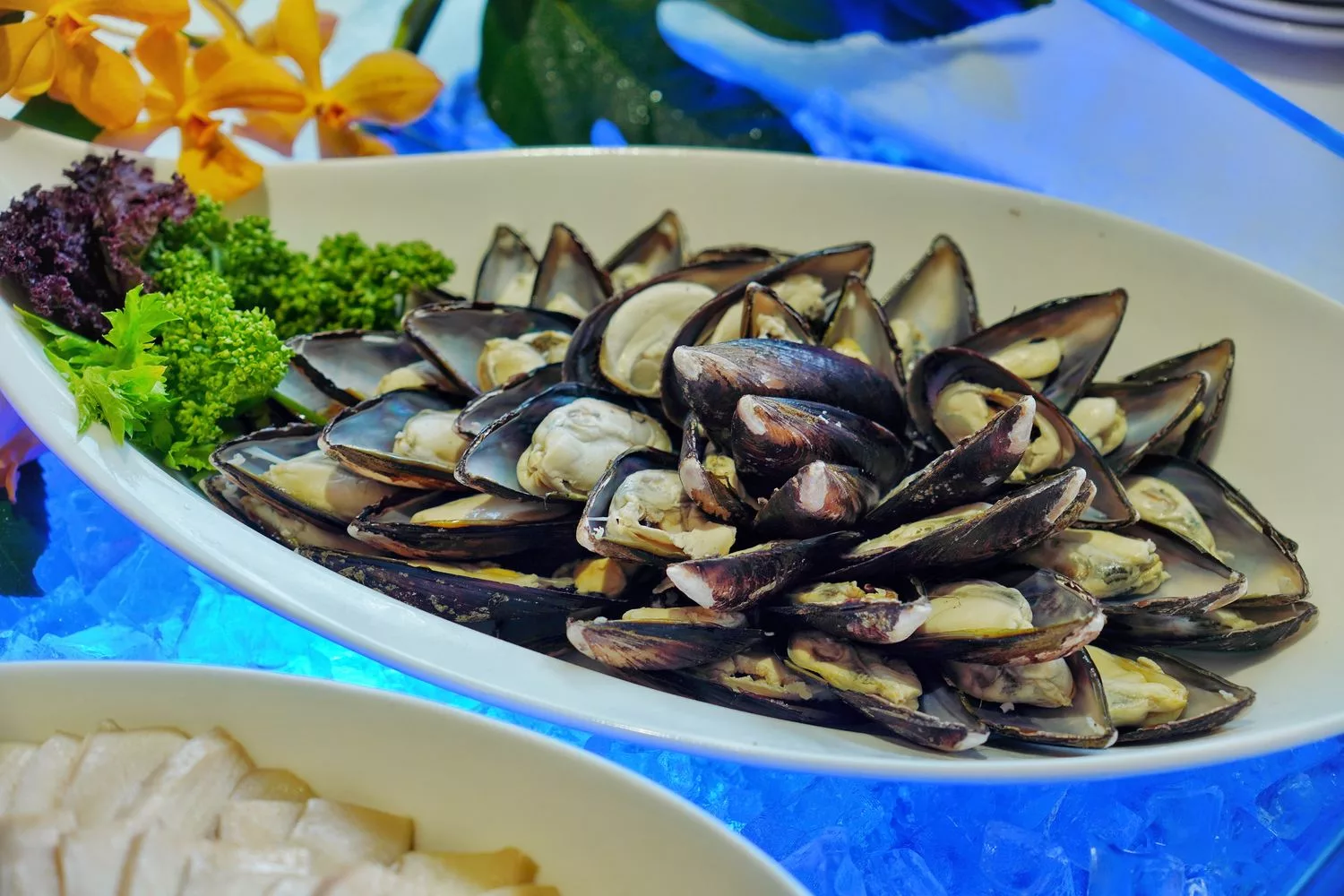 【花蓮飯店吃到飽】花蓮美侖大飯店綠苑西餐廳，爽吃牛排海鮮 3.5 小時，每人只要 800 元! @混血珊莎的奇幻旅程