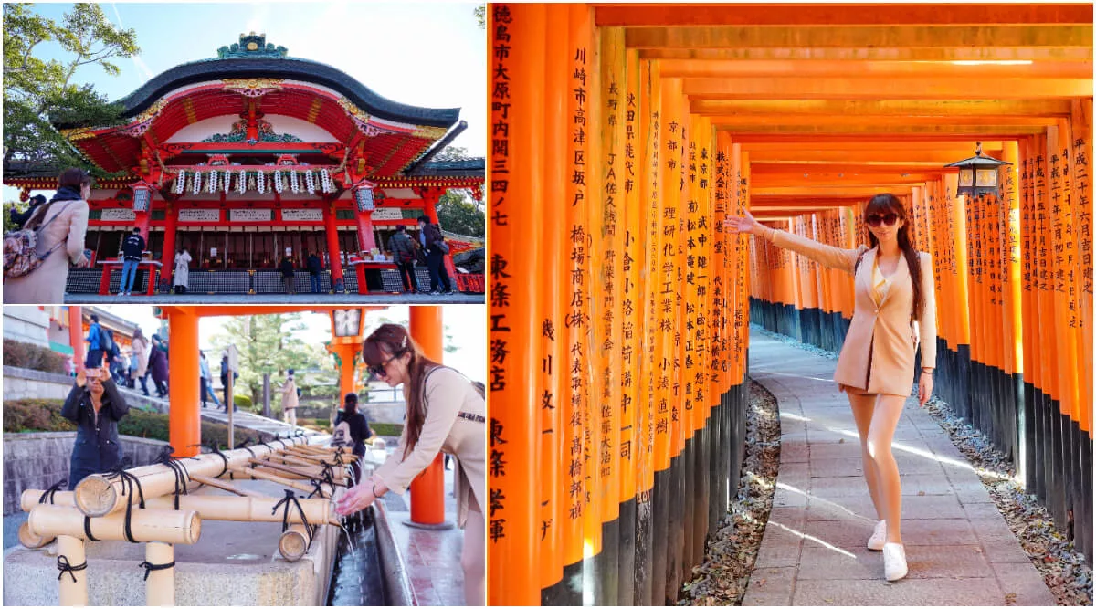 【2025京都自由行】精選 3 條京都一日遊路線，交通美食全攻略! @混血珊莎的奇幻旅程