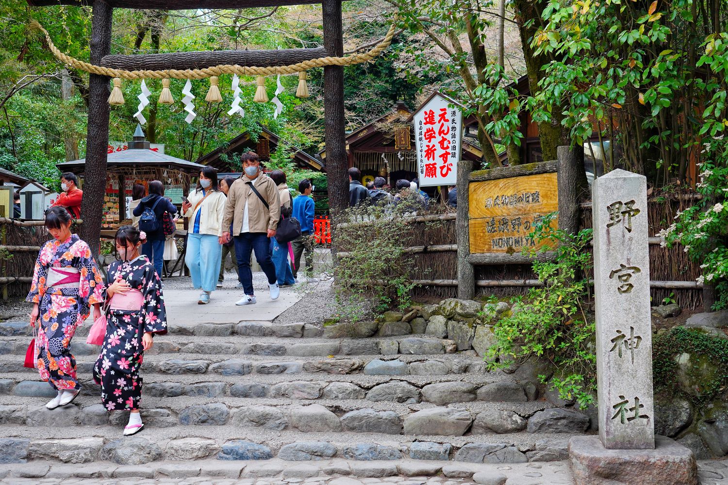 【2025京都自由行】精選 3 條京都一日遊路線，交通美食全攻略! @混血珊莎的奇幻旅程
