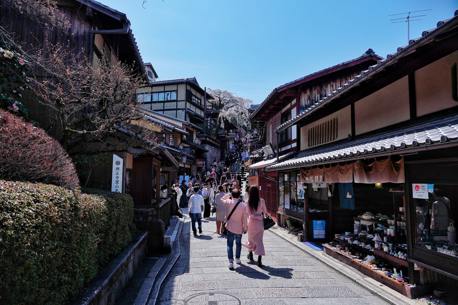 【京都清水寺】必看景點遊玩指南跟交通攻略! @混血珊莎的奇幻旅程