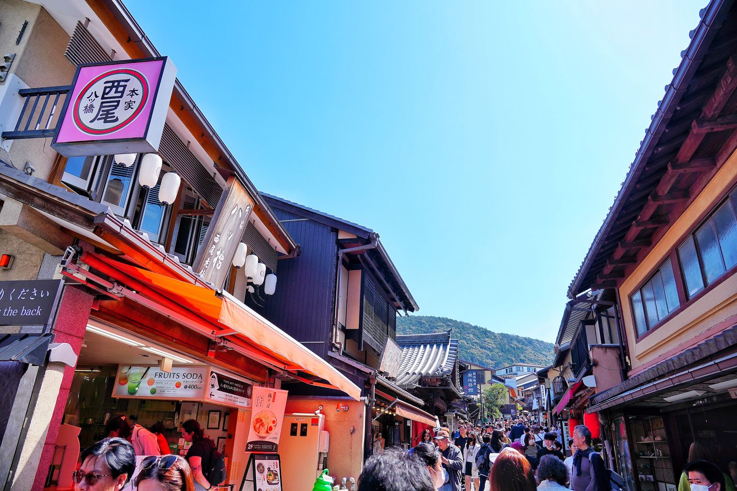 【京都清水寺】必看景點遊玩指南跟交通攻略! @混血珊莎的奇幻旅程