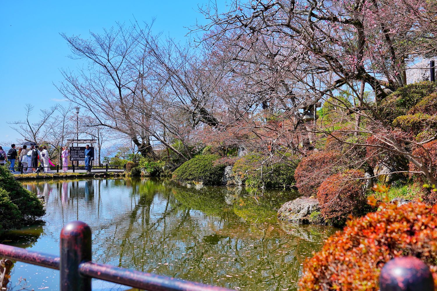 【京都清水寺】必看景點遊玩指南跟交通攻略! @混血珊莎的奇幻旅程