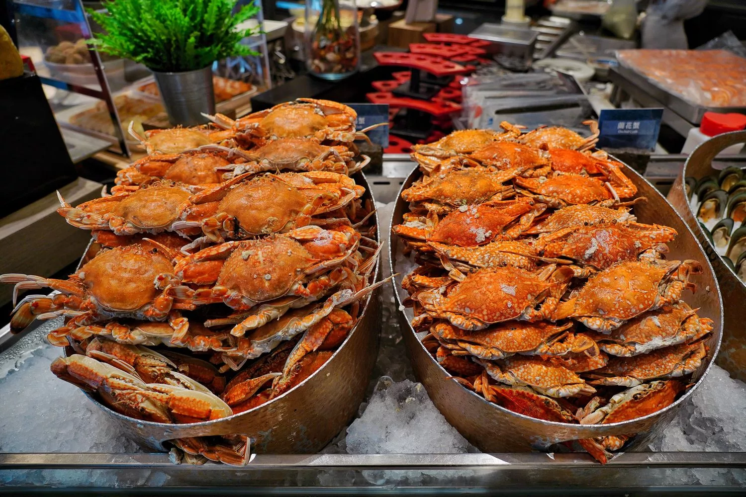 【漢來海港餐廳】漢來海港天母店，超人氣吃到飽，必吃菜色價位優惠分享! @混血珊莎的奇幻旅程