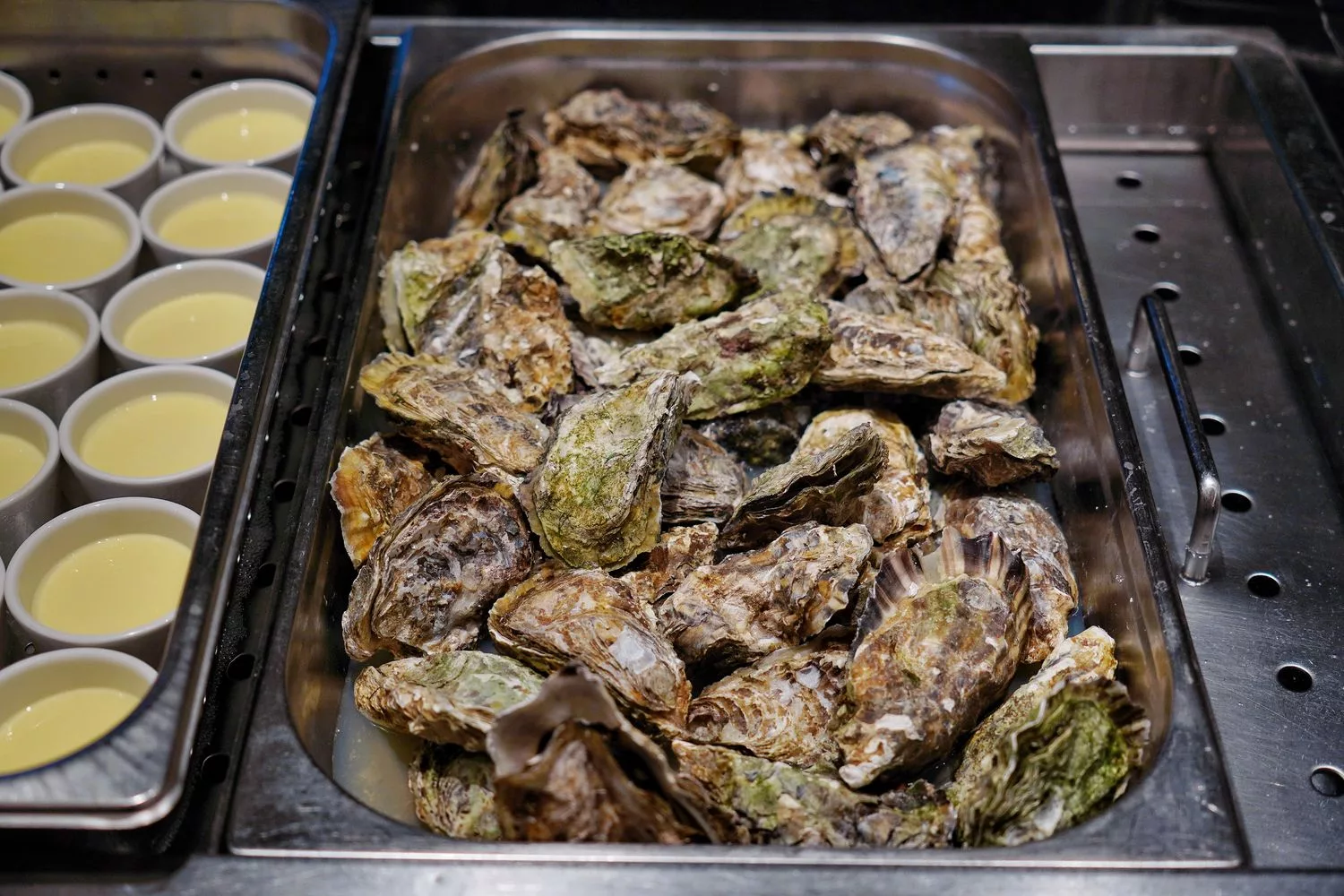 【漢來海港餐廳】漢來海港天母店，超人氣吃到飽，必吃菜色價位優惠分享! @混血珊莎的奇幻旅程