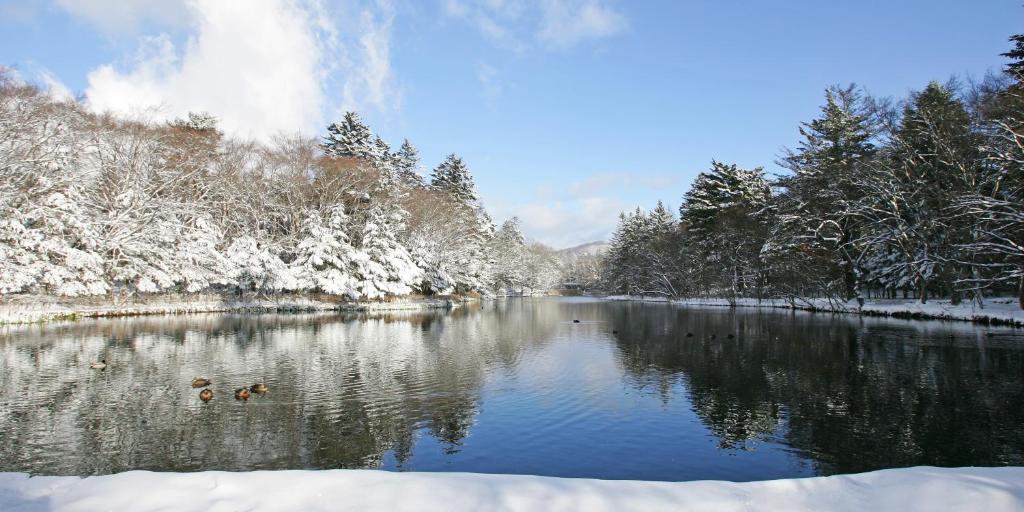 【2025輕井澤住宿】精選 12 間輕井澤溫泉住宿，滑雪場周邊飯店攻略! @混血珊莎的奇幻旅程