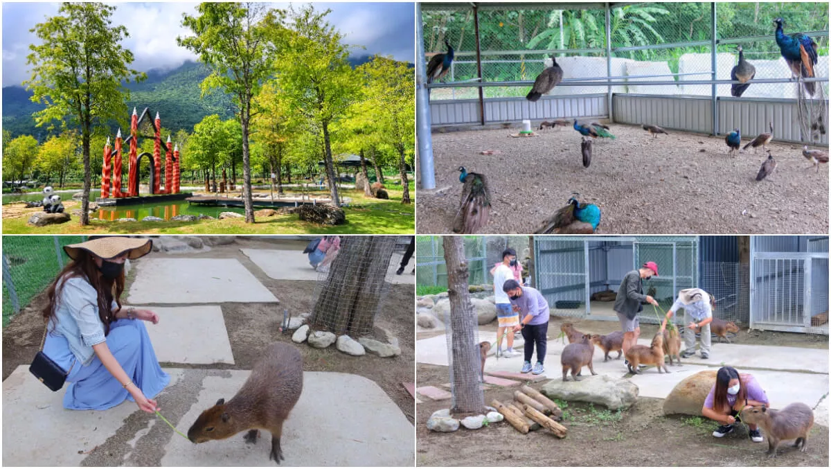 【2025花蓮景點推薦】精選 20 個必遊景點，打造完美花蓮一日遊！ @混血珊莎的奇幻旅程