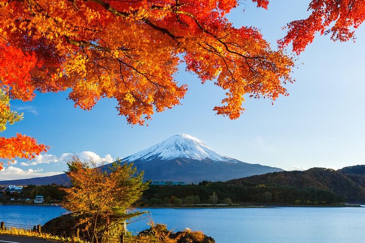 【2025箱根住宿】精選 18 間，箱根溫泉住宿之旅~最便宜只要2300元起 @混血珊莎的奇幻旅程