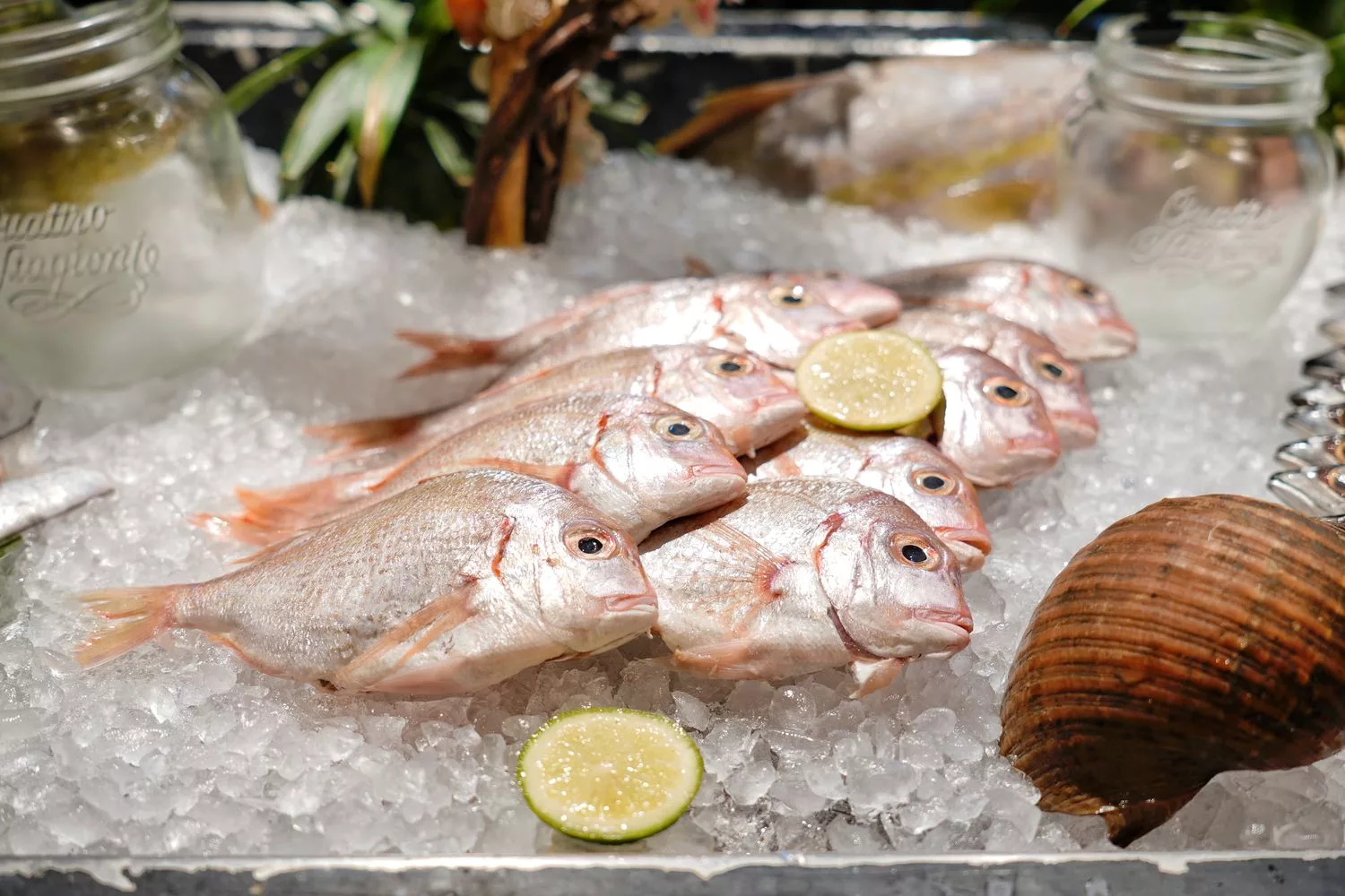 【寒沐酒店自助餐】MU TABLE異國美饌、漁港現流漁獲、DIY特色調酒，壽星 0 元吃大餐! @混血珊莎的奇幻旅程