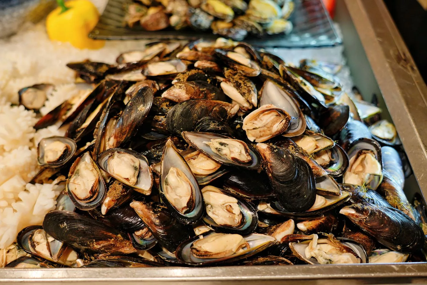 【寒沐酒店自助餐】MU TABLE異國美饌、漁港現流漁獲、DIY特色調酒，壽星 0 元吃大餐! @混血珊莎的奇幻旅程
