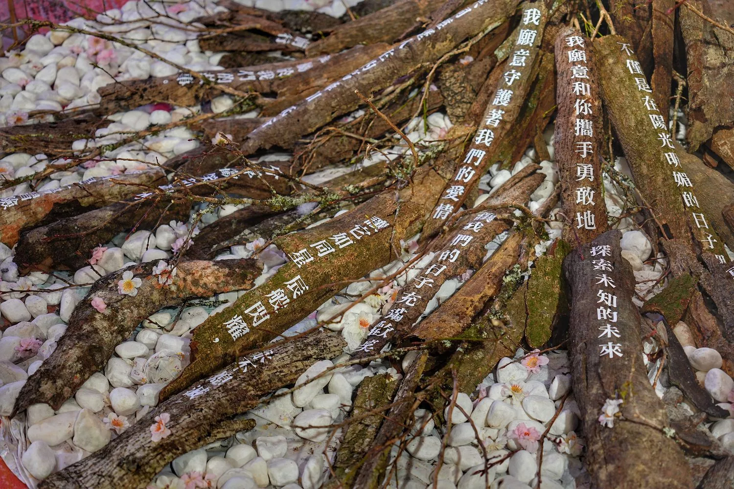【全新台北婚宴場地】台北漢來大飯店宴會廳，全台最長環場大螢幕，夢幻系水上禮堂! @混血珊莎的奇幻旅程