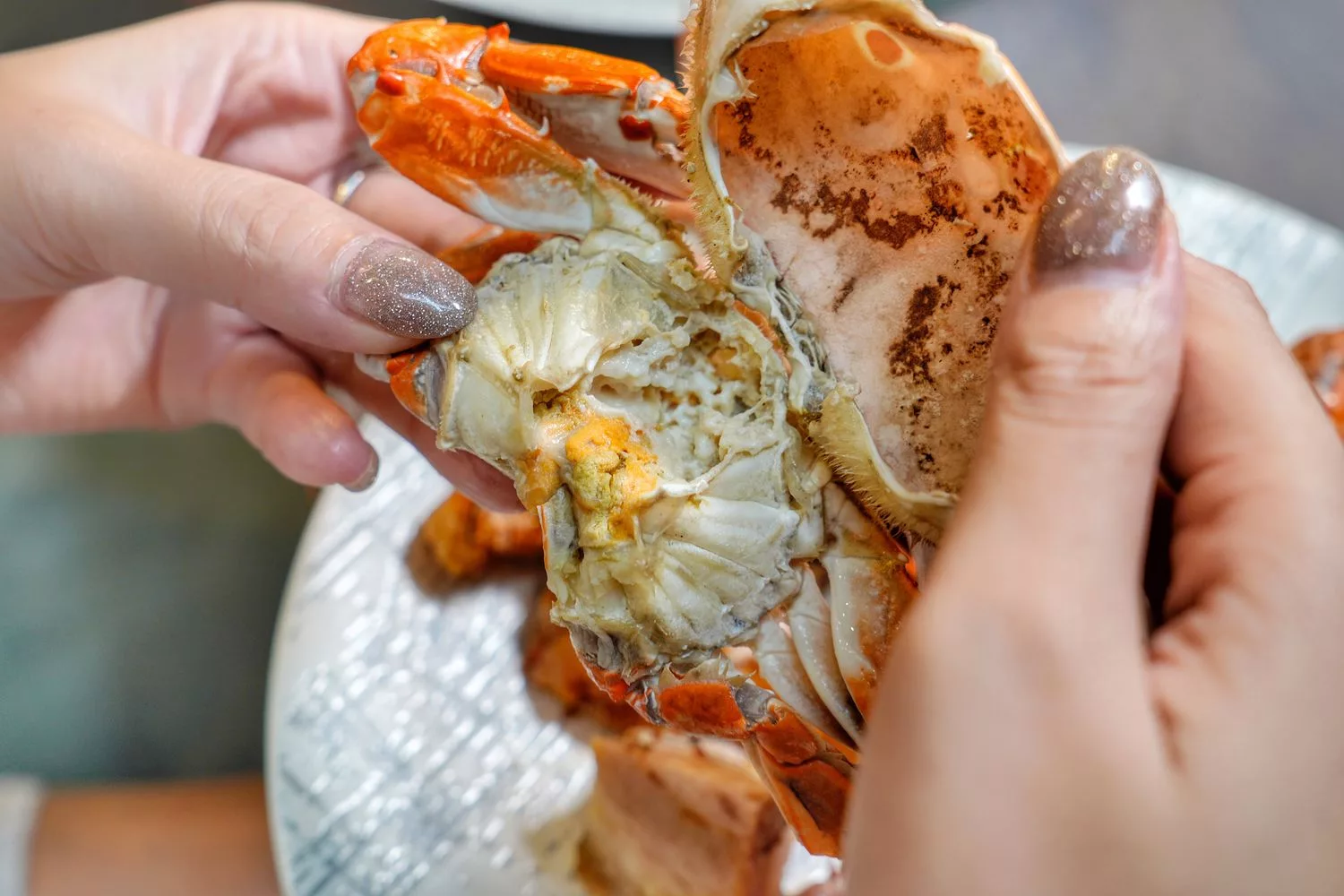 【台北福華飯店自助餐】台北福華彩虹座，多達 50 款義式料理，紅白酒氣泡酒啤酒無限暢飲! @混血珊莎的奇幻旅程