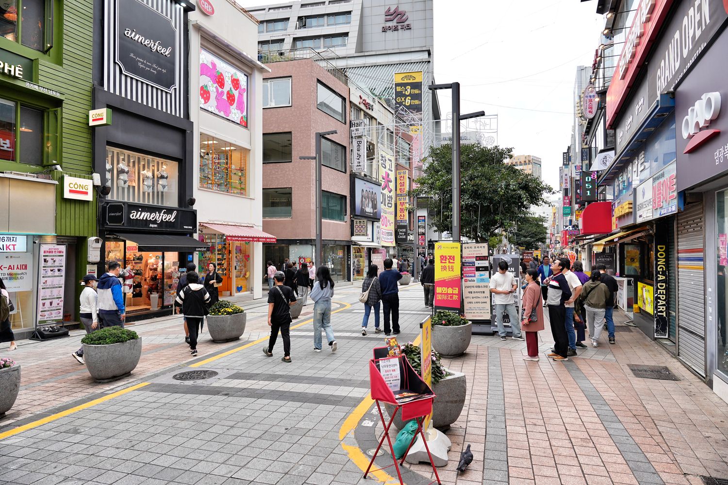 【2025釜山景點】精選 28 個韓國釜山必去旅遊景點地圖! @混血珊莎的奇幻旅程