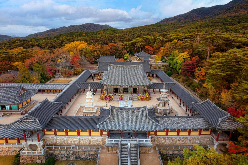 【2025釜山景點】精選 28 個韓國釜山必去旅遊景點地圖! @混血珊莎的奇幻旅程