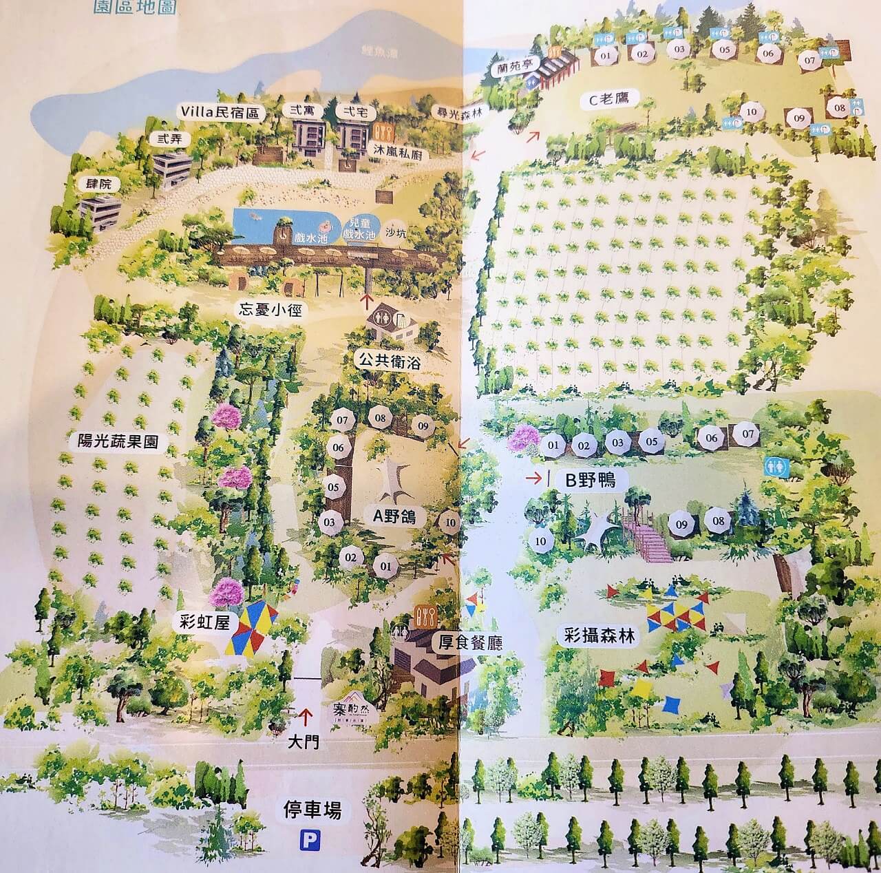 【2025苗栗懶人露營】精選 12 間苗栗露營，挑選最適合你的露營場地！ @混血珊莎的奇幻旅程