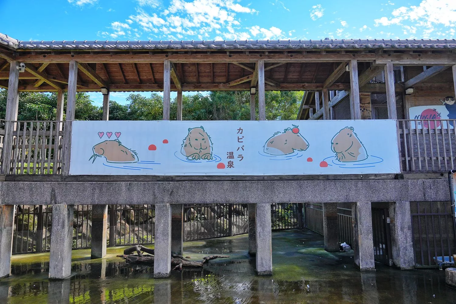 【綠舞日式主題園區】和服浴衣拍照打卡，可愛萌寵餵食互動一日遊! @混血珊莎的奇幻旅程