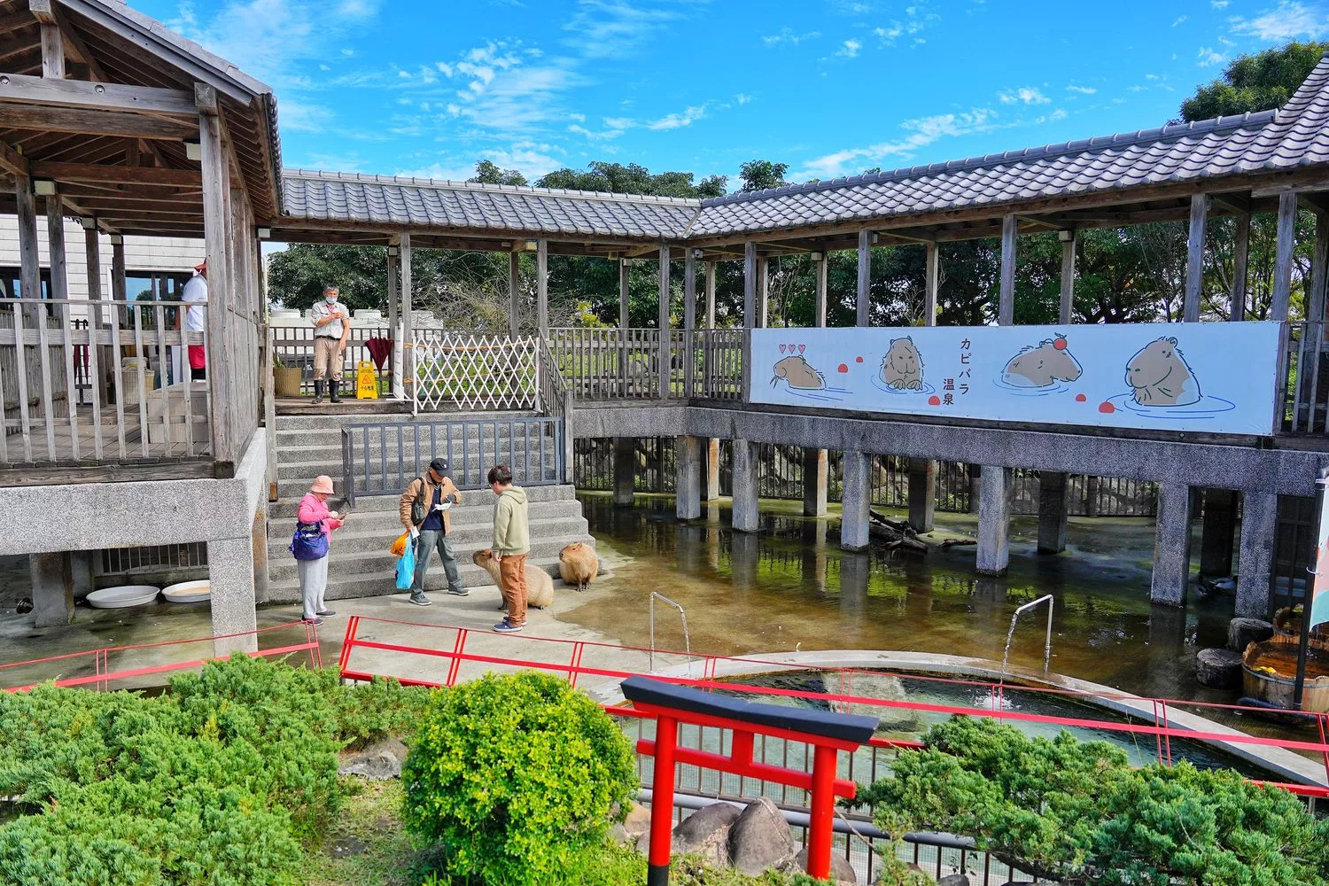 【綠舞日式主題園區】和服浴衣拍照打卡，可愛萌寵餵食互動一日遊! @混血珊莎的奇幻旅程