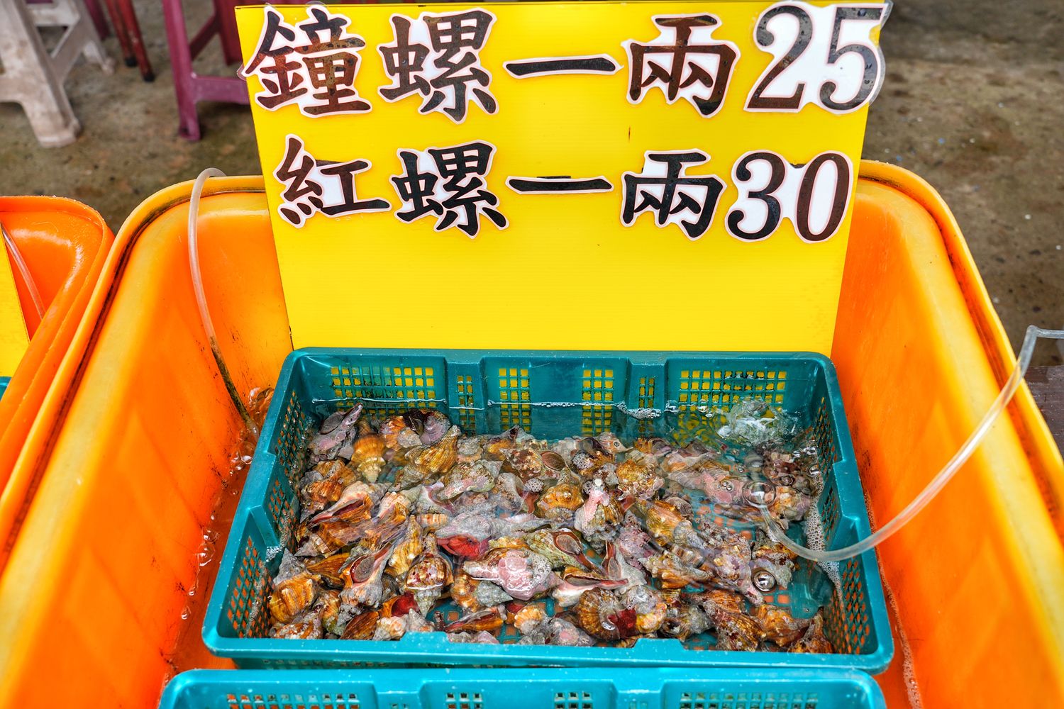 澎湖阿挺海鮮｜必吃鯨魚洞小管麵線，在地 40 年老字號餐廳! @混血珊莎的奇幻旅程