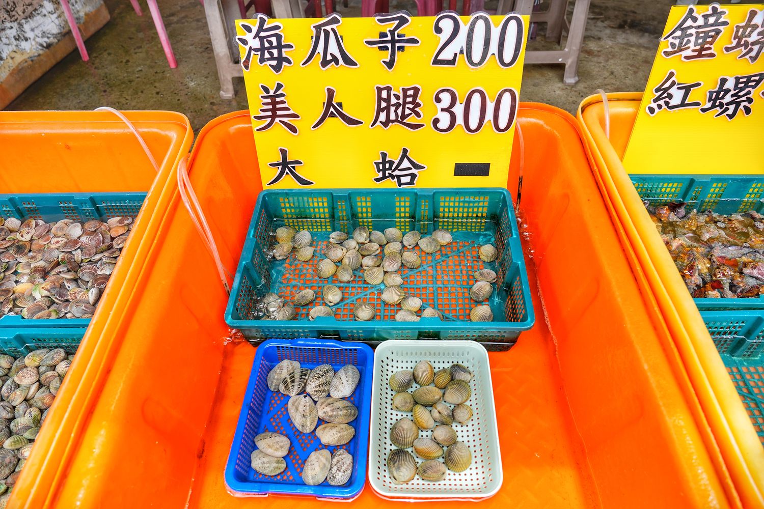 澎湖阿挺海鮮｜必吃鯨魚洞小管麵線，在地 40 年老字號餐廳! @混血珊莎的奇幻旅程