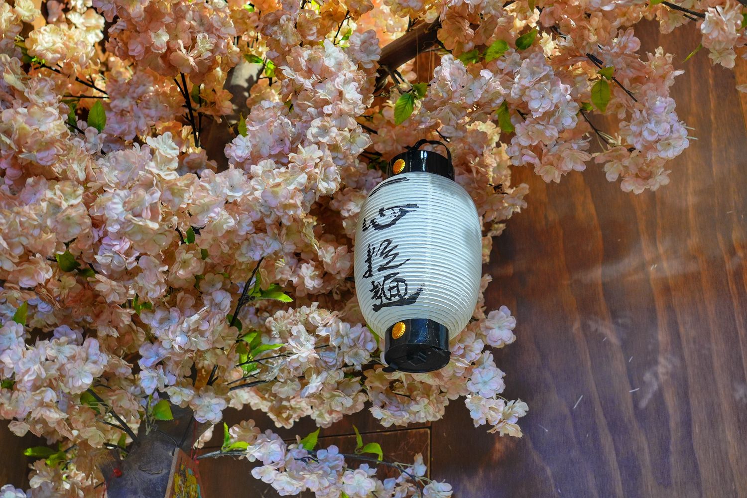 一心拉麵｜超夯羅東拉麵推薦，每日限量九州豚骨拉麵! @混血珊莎的奇幻旅程