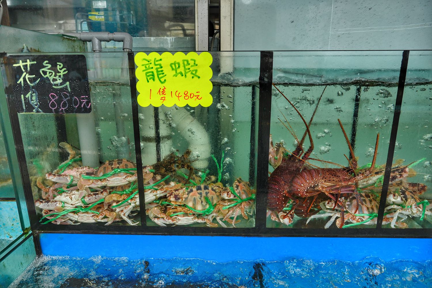 鮮滿樓海鮮料理｜萬里海鮮餐廳推薦每人800元大啖隱藏版龍蝦料理! @混血珊莎的奇幻旅程