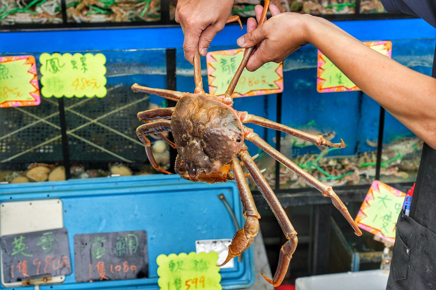 鮮滿樓海鮮料理｜萬里海鮮餐廳推薦每人800元大啖隱藏版龍蝦料理! @混血珊莎的奇幻旅程