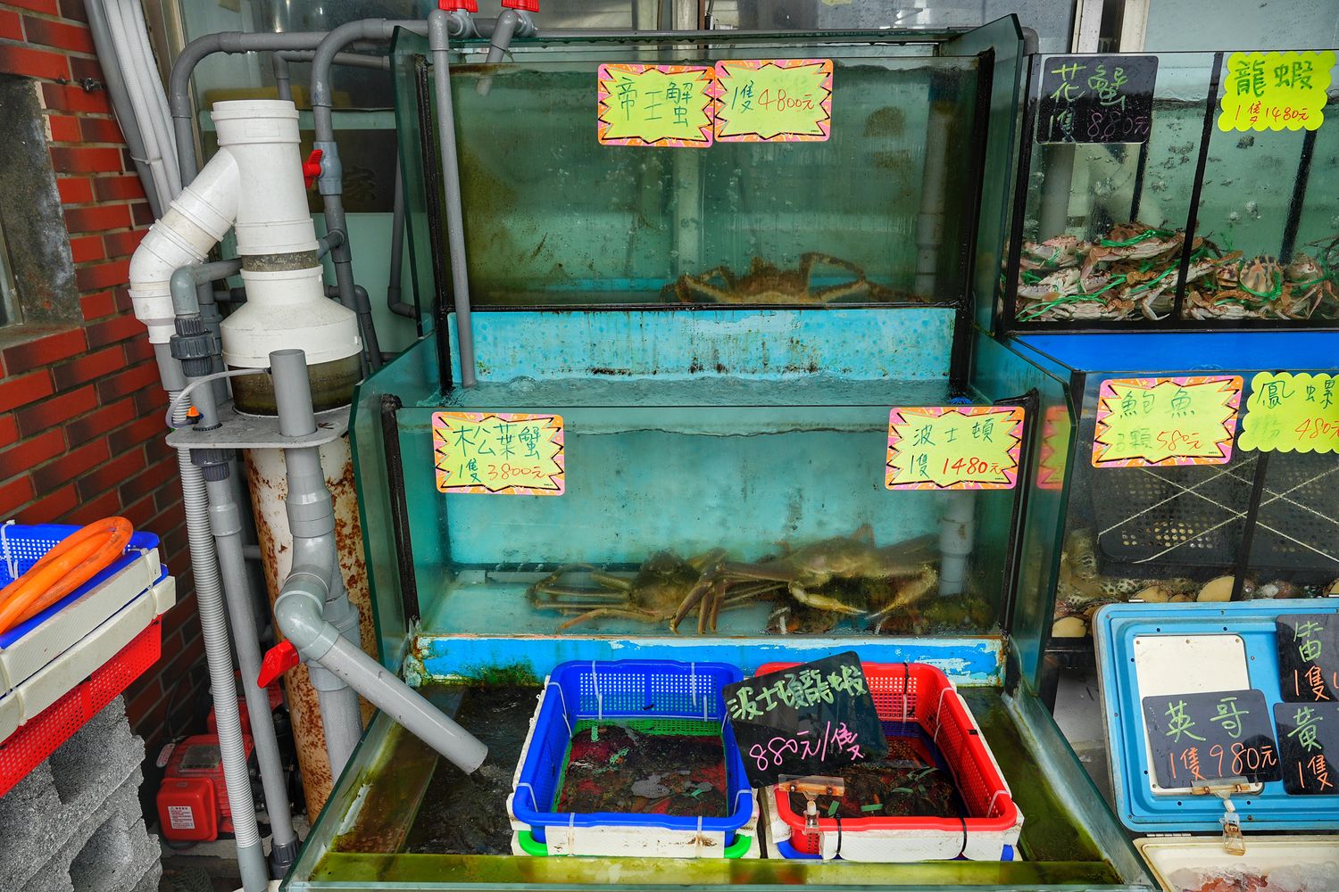 鮮滿樓海鮮料理｜萬里海鮮餐廳推薦每人800元大啖隱藏版龍蝦料理! @混血珊莎的奇幻旅程