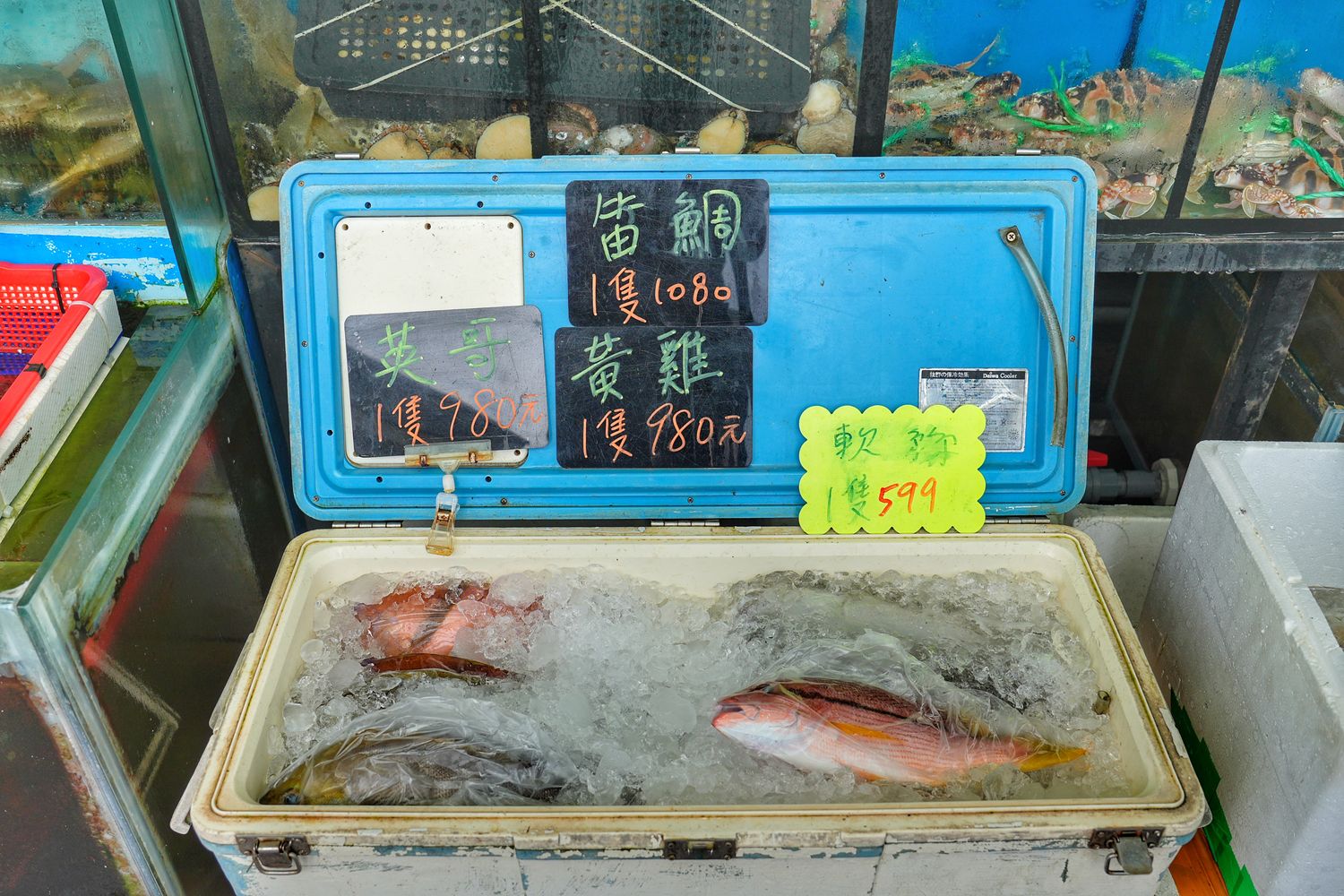 鮮滿樓海鮮料理｜萬里海鮮餐廳推薦每人800元大啖隱藏版龍蝦料理! @混血珊莎的奇幻旅程