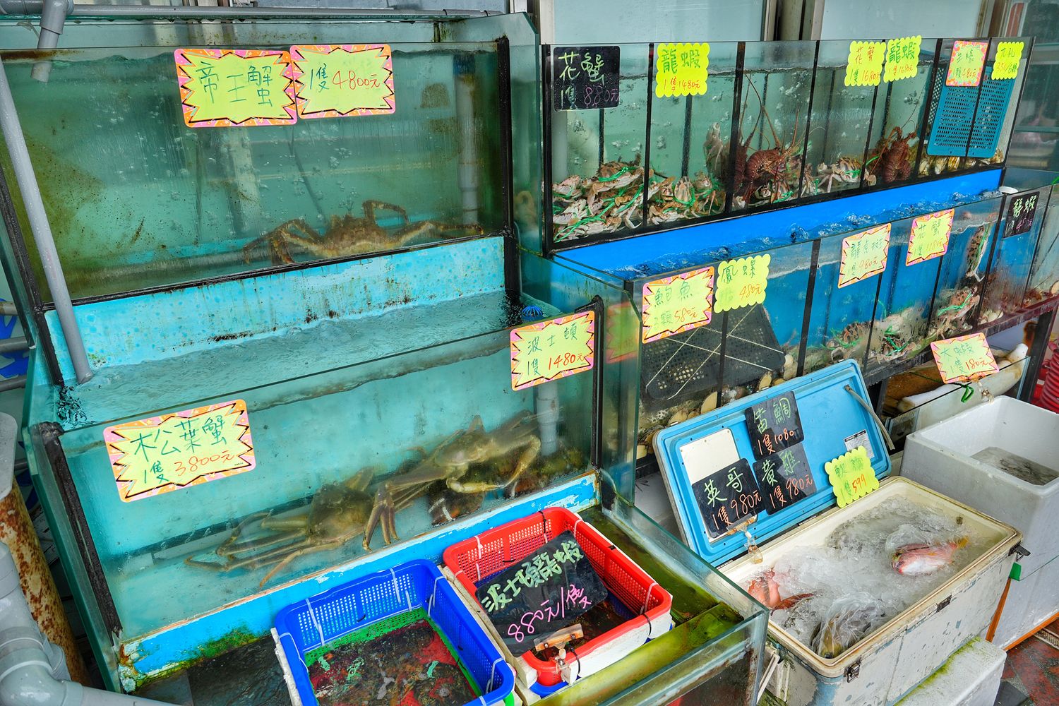 鮮滿樓海鮮料理｜萬里海鮮餐廳推薦每人800元大啖隱藏版龍蝦料理! @混血珊莎的奇幻旅程