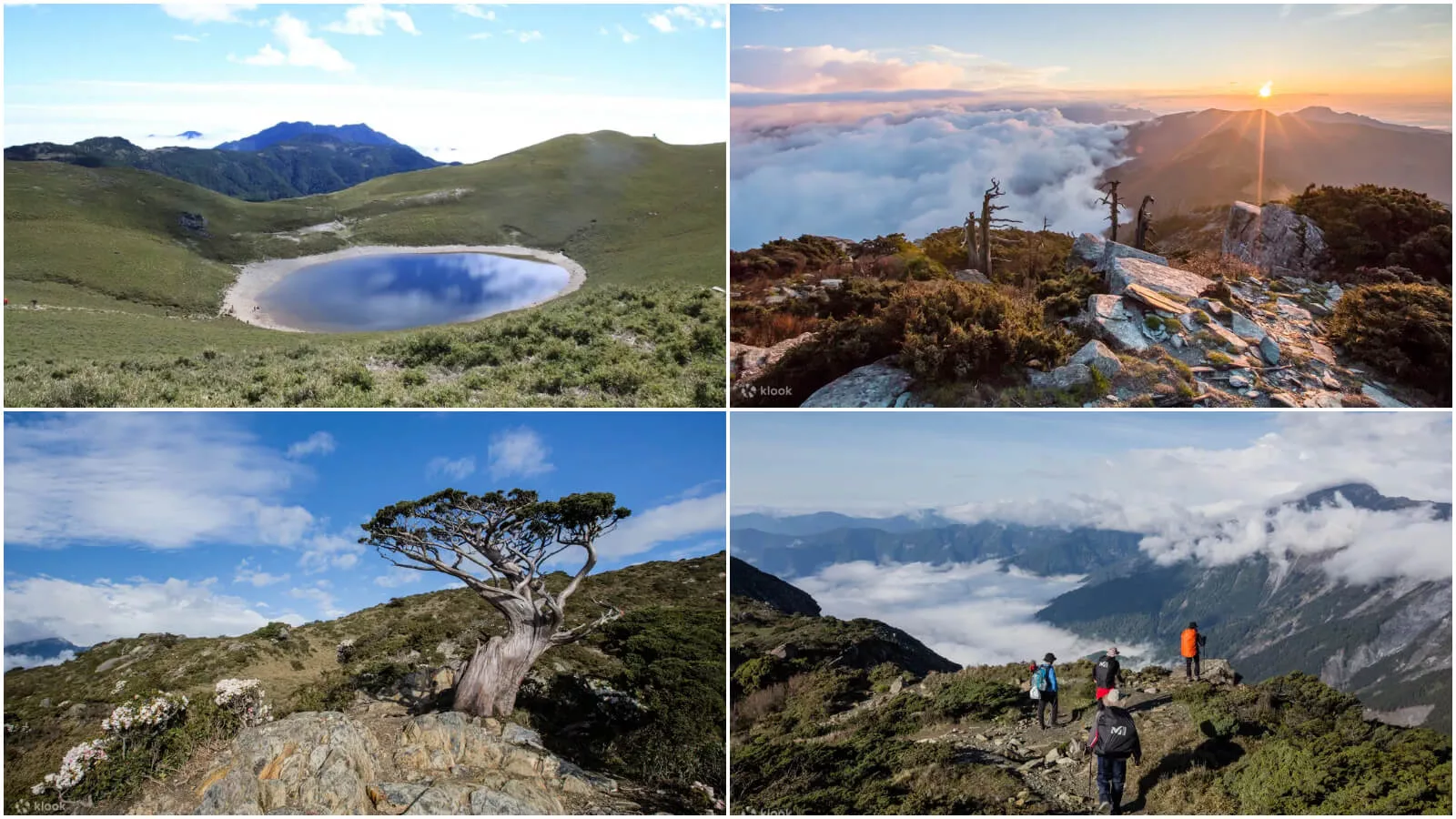 【2025台東景點推薦】精選 21 個台東一日遊景點，欣賞特有的自然風光。 @混血珊莎的奇幻旅程