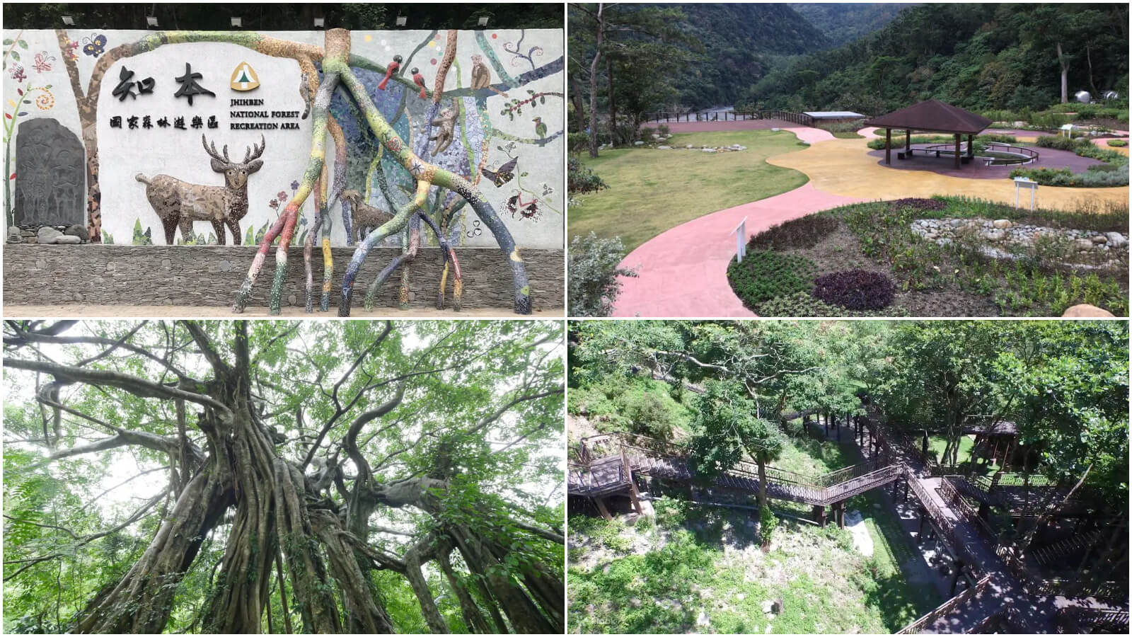 【2025台東景點推薦】精選 21 個台東一日遊景點，欣賞特有的自然風光。 @混血珊莎的奇幻旅程