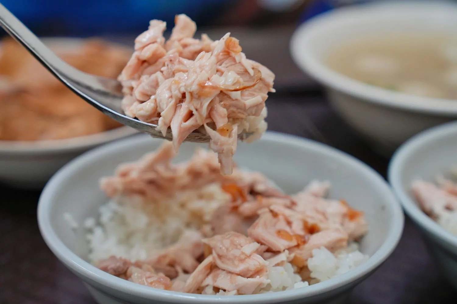 【嘉義雞肉飯推薦】嘉義人火雞肉飯，無名路邊攤起家在地經營 36 年，老饕私藏口袋名單! @混血珊莎的奇幻旅程