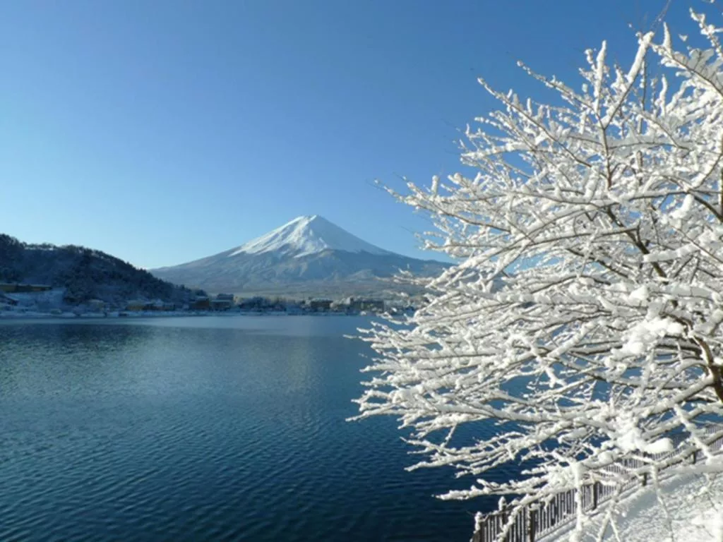 【2025河口湖住宿】精選 26 間河口湖飯店優惠，富士山全貌盡收眼底! @混血珊莎的奇幻旅程