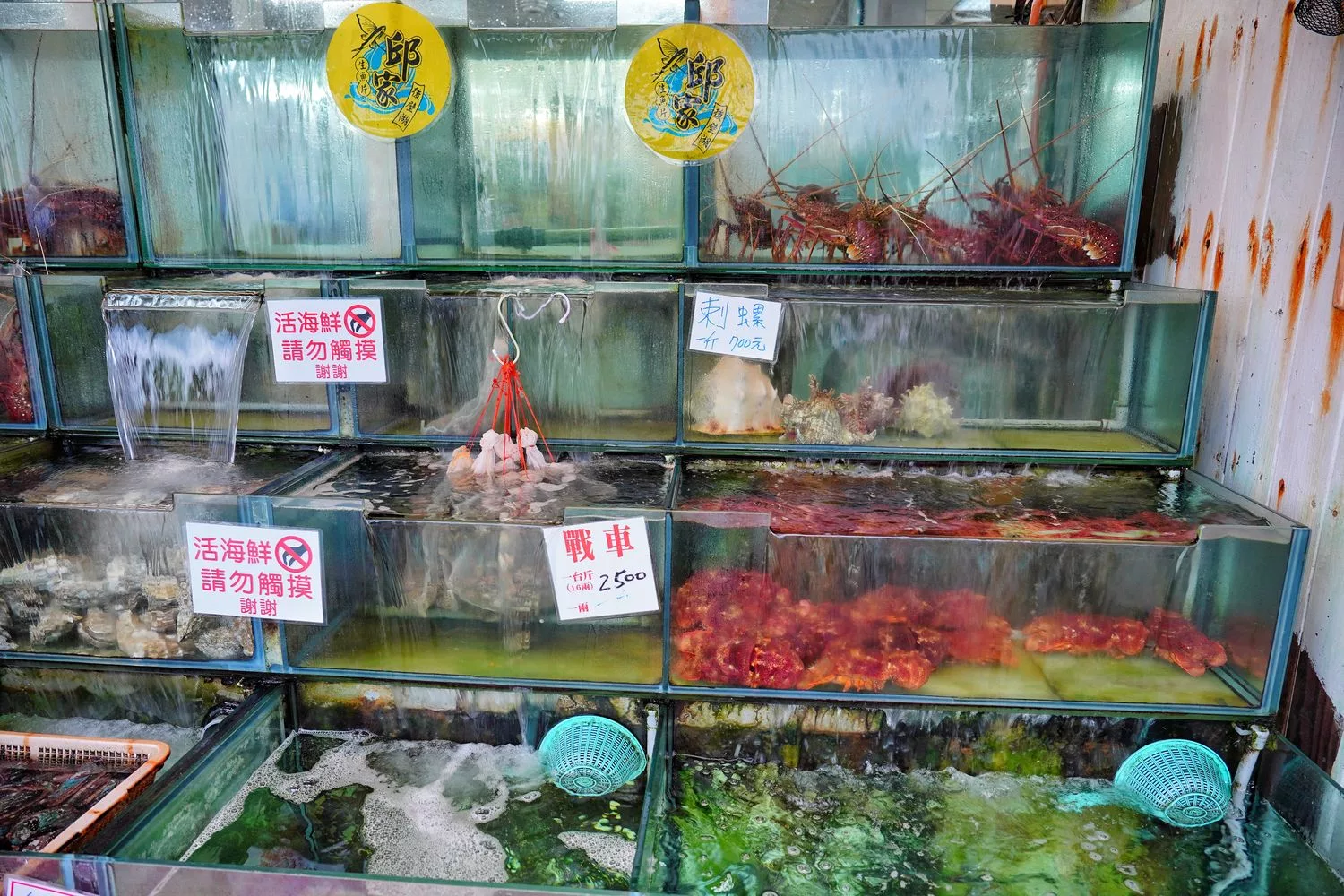 【邱家生魚片】墾丁必吃平價海產店，綜合生魚片100元起! @混血珊莎的奇幻旅程