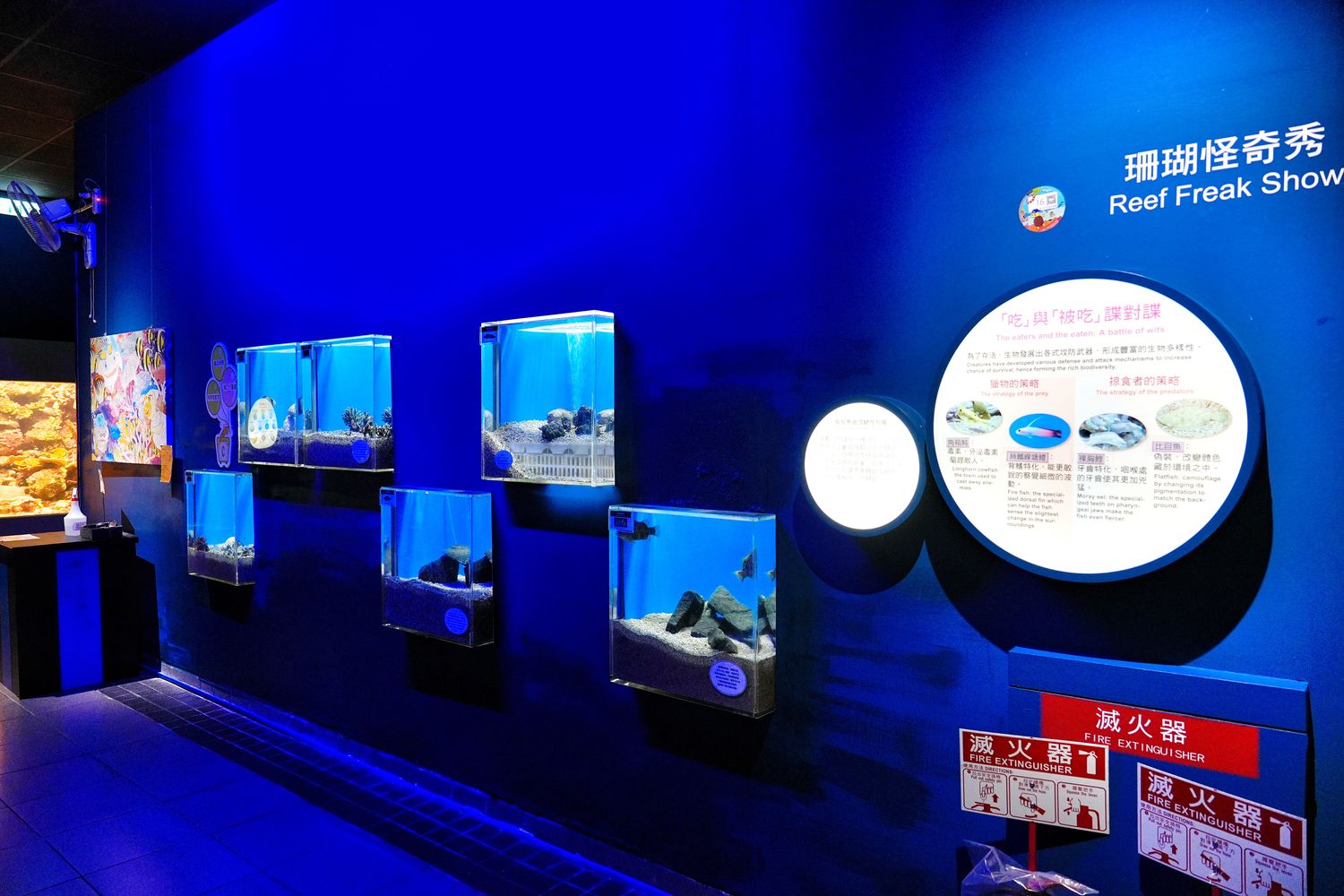 澎湖水族館｜夢幻海底隧道，門票優惠交通總整理! @混血珊莎的奇幻旅程