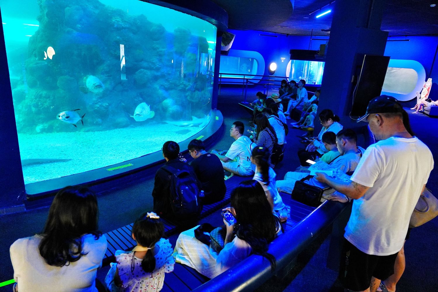 澎湖水族館｜夢幻海底隧道，門票優惠交通總整理! @混血珊莎的奇幻旅程