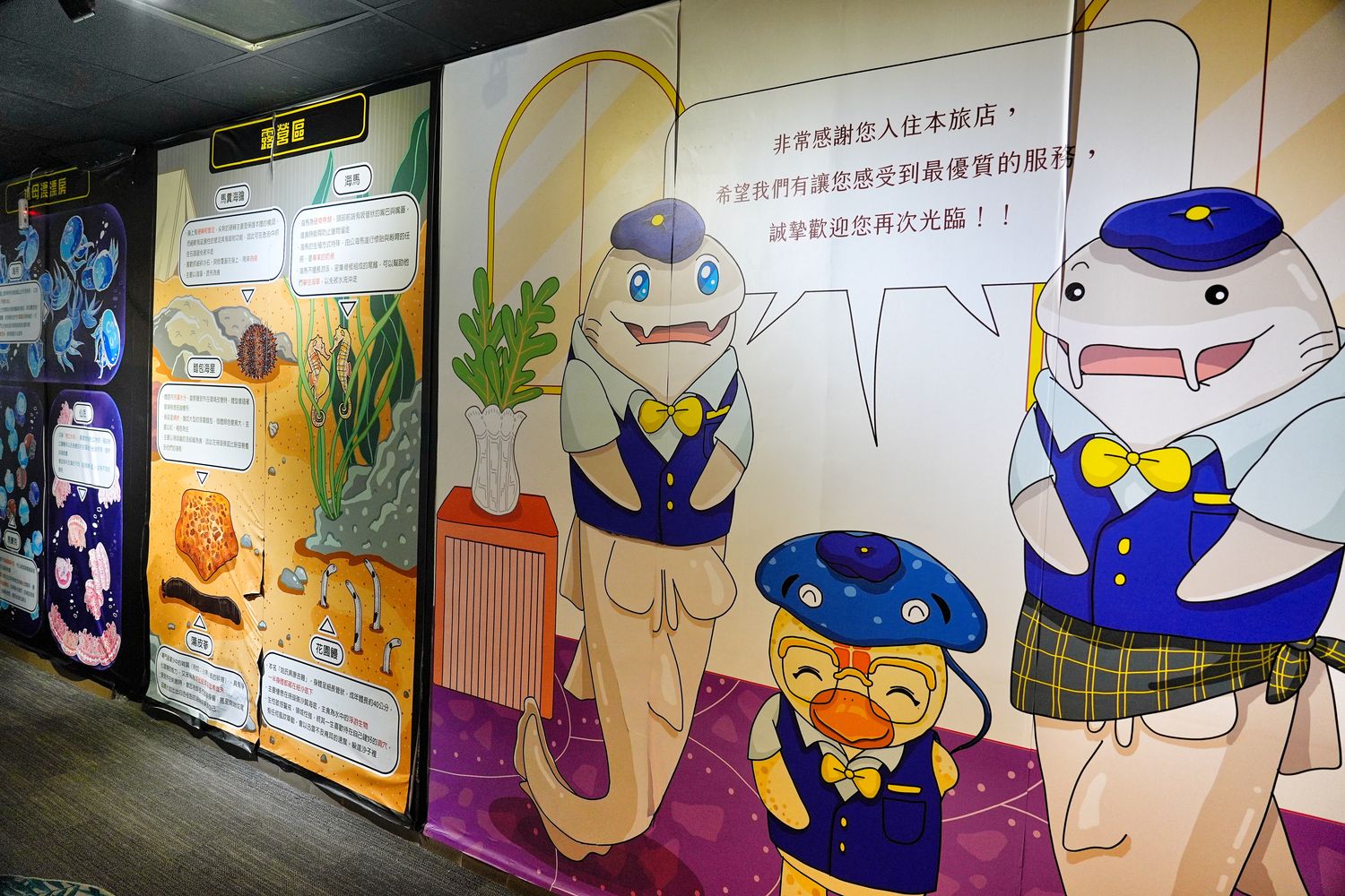 澎湖水族館｜夢幻海底隧道，門票優惠交通總整理! @混血珊莎的奇幻旅程