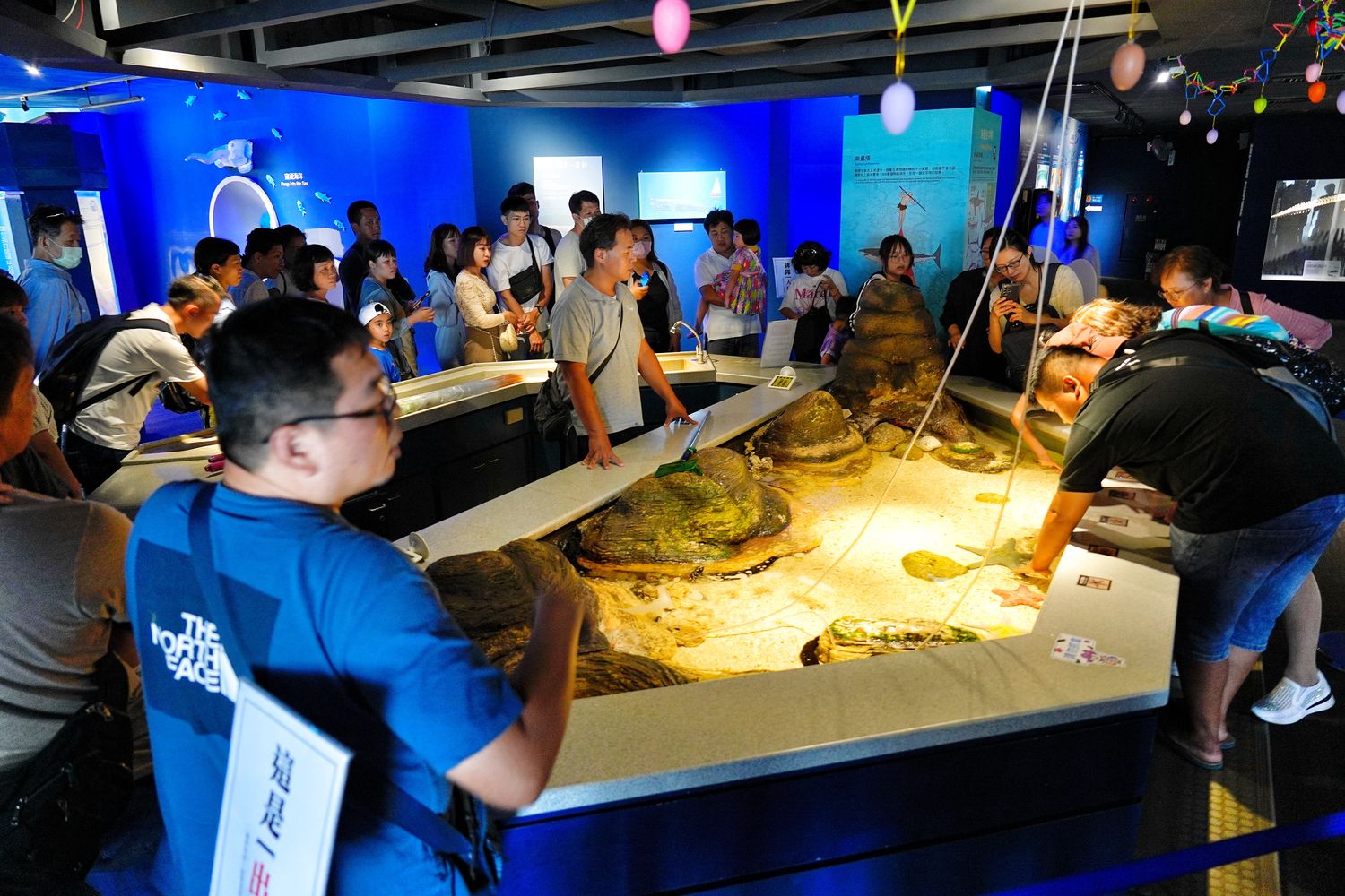 澎湖水族館｜夢幻海底隧道，門票優惠交通總整理! @混血珊莎的奇幻旅程