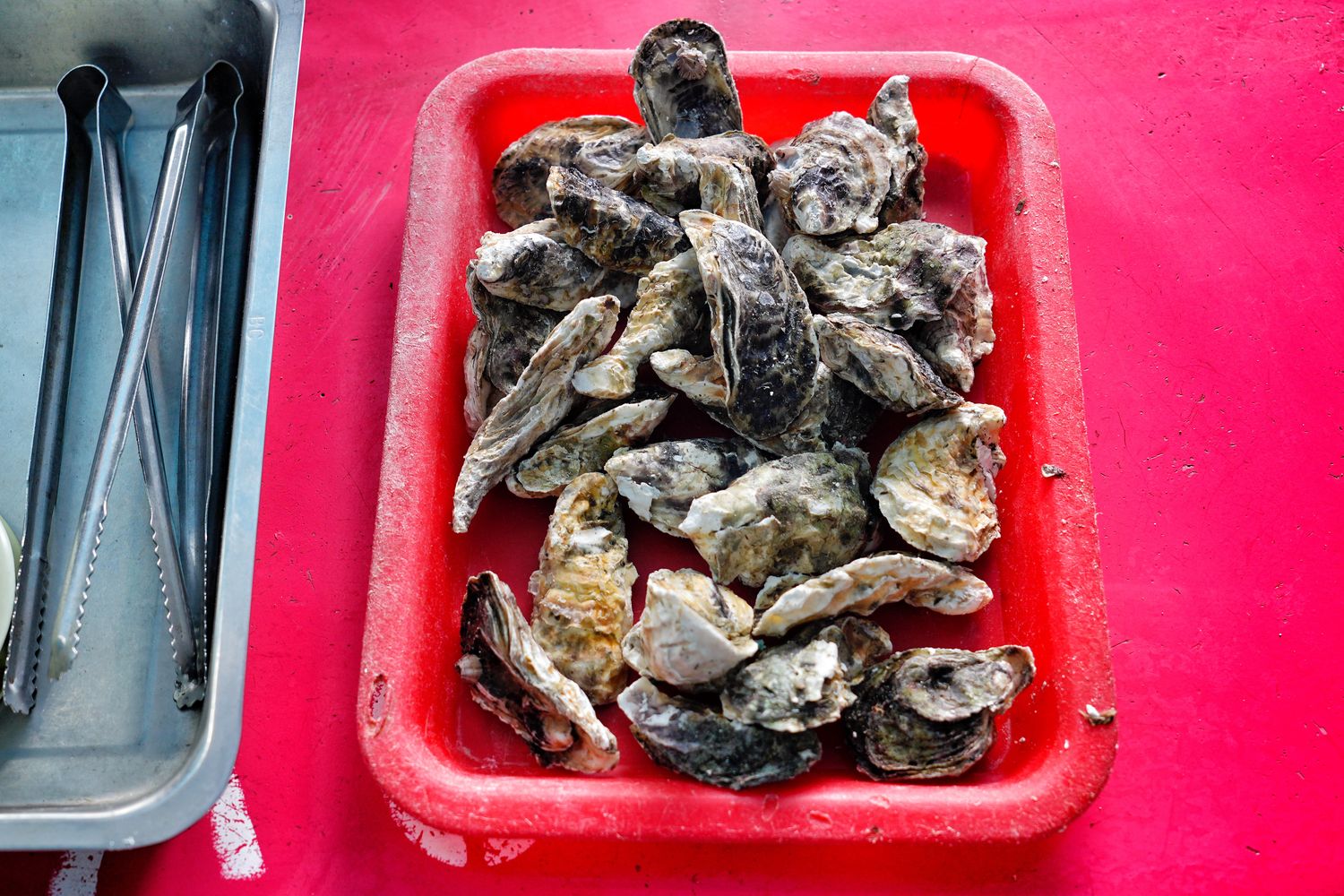海上皇宮海洋牧場｜烤澎湖牡蠣鮮蚵&#038;海鮮粥吃到飽，釣魚K歌通通有! @混血珊莎的奇幻旅程