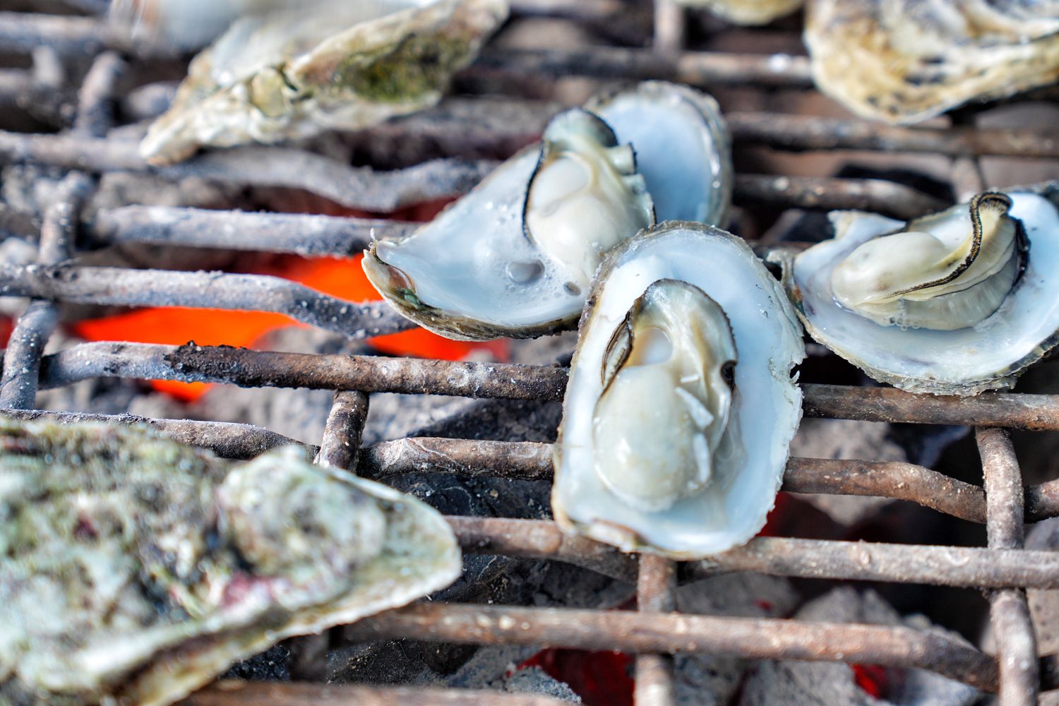 海上皇宮海洋牧場｜烤澎湖牡蠣鮮蚵&#038;海鮮粥吃到飽，釣魚K歌通通有! @混血珊莎的奇幻旅程