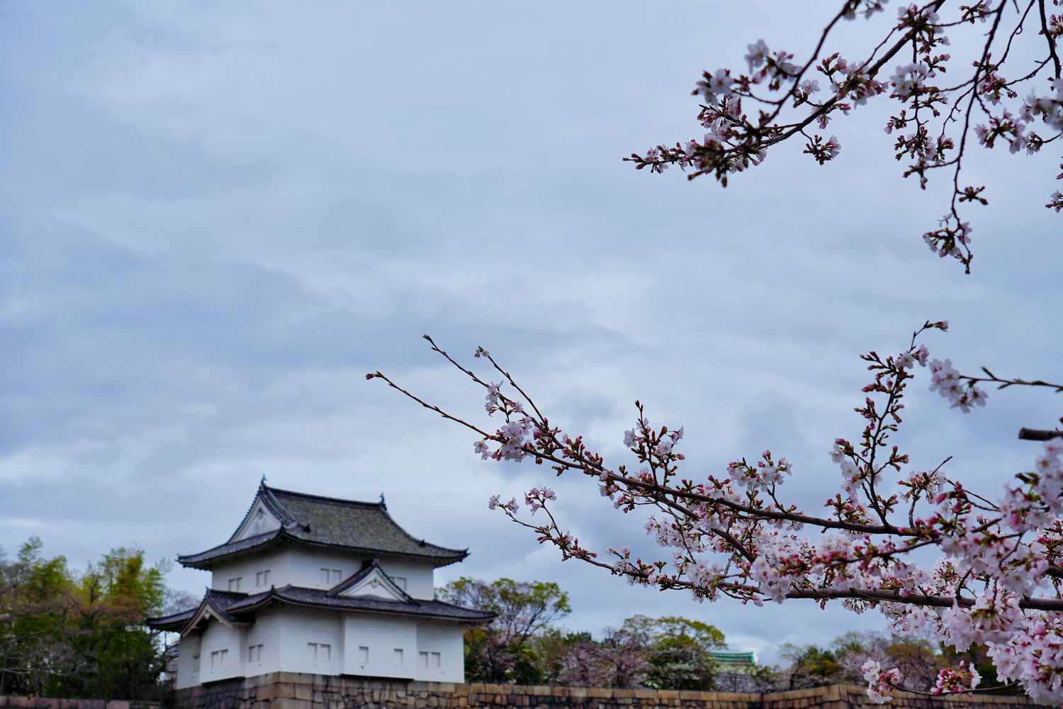 大阪城｜關西日本三大名城，天守閣&#038;御座船門票交通懶人包! @混血珊莎的奇幻旅程