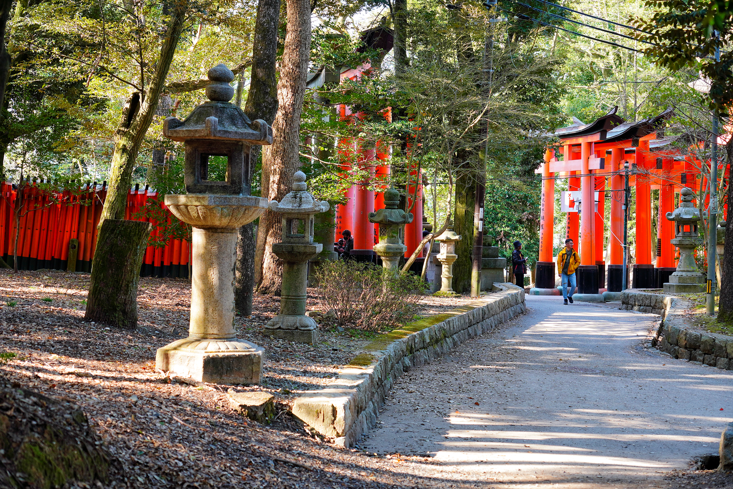 【京都伏見稻荷大社】壯觀千鳥居必拍重點攻略! @混血珊莎的奇幻旅程 【京都伏見稻荷大社】壯觀千鳥居必拍重點攻略! @混血珊莎的奇幻旅程