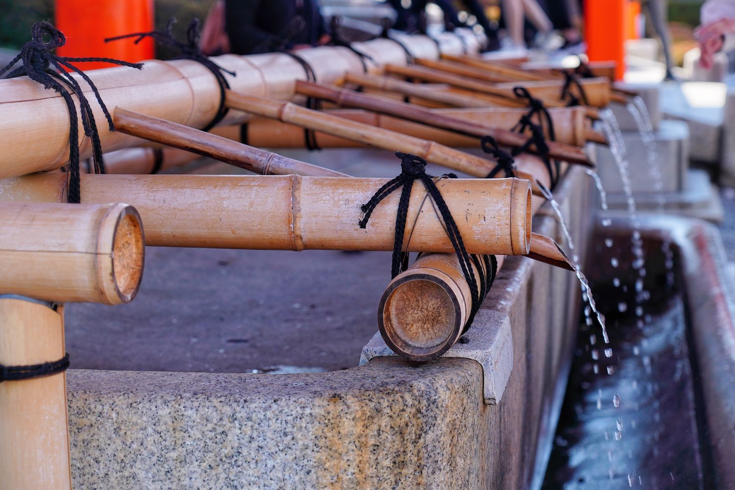 【京都伏見稻荷大社】壯觀千鳥居必拍重點攻略! @混血珊莎的奇幻旅程 【京都伏見稻荷大社】壯觀千鳥居必拍重點攻略! @混血珊莎的奇幻旅程