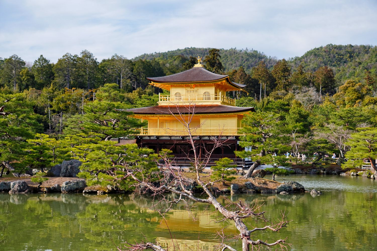 金閣寺｜京都必訪夢幻之境，門票營業時間交通攻略! @混血珊莎的奇幻旅程